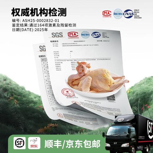 【发出后不支持拦截退货】杨博士 童子鸡 650g*3（赠鲜鸡血300g*2+口水鸡调料*1） 商品图5