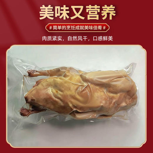 额雁·新疆塔城风干飞鹅2000g/只  肉质细腻嫩香 久煮不易柴 商品图2