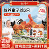 【发出后不支持拦截退货】杨博士 童子鸡 650g*3（赠鲜鸡血300g*2+口水鸡调料*1） 商品缩略图0