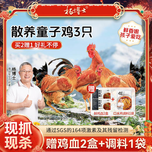 【发出后不支持拦截退货】杨博士 童子鸡 650g*3（赠鲜鸡血300g*2+口水鸡调料*1） 商品图0