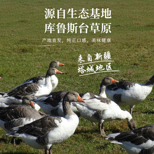 额雁·新疆塔城风干飞鹅2000g/只  肉质细腻嫩香 久煮不易柴 商品图3