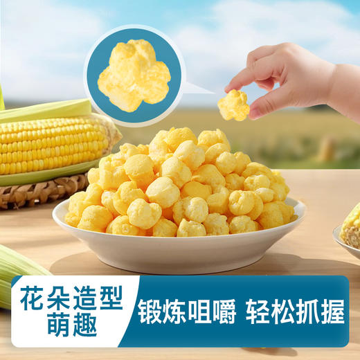 禾泱泱婴幼儿营养玉米花-草莓樱桃味/原味19g 商品图4