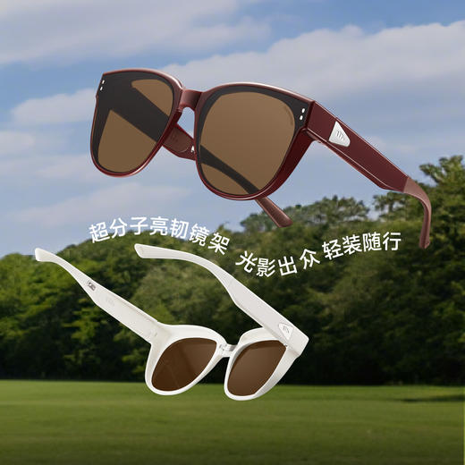 【春上新】【新品】6楼蕉下大方圆框折叠近视墨镜FD008吊牌价329 商品图4