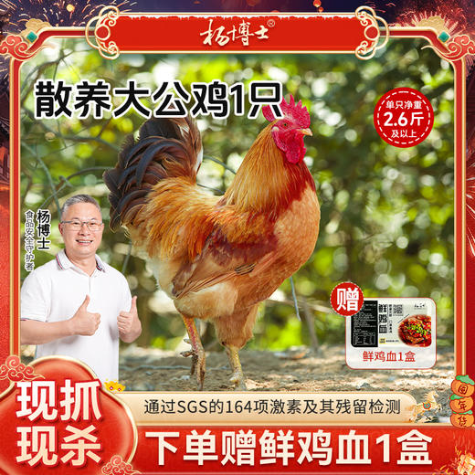【发出后不支持拦截退货】杨博士 大公鸡 1300g-1500g（赠鲜鸡血300g*1） 商品图0