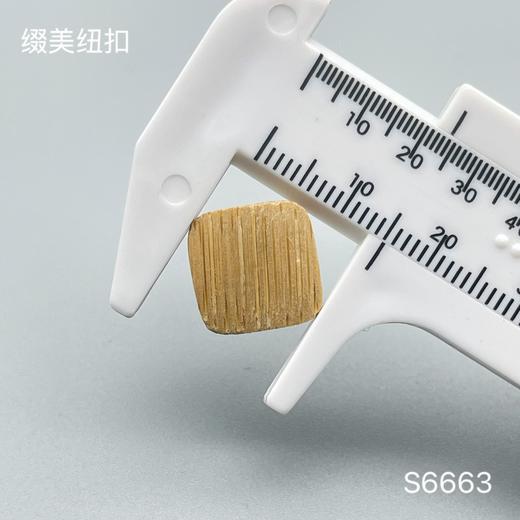 S6663(整包购买) 商品图3