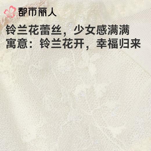 都市丽人内裤女士内裤蕾丝内裤蕾丝网布三角内裤LPC1C5 商品图6