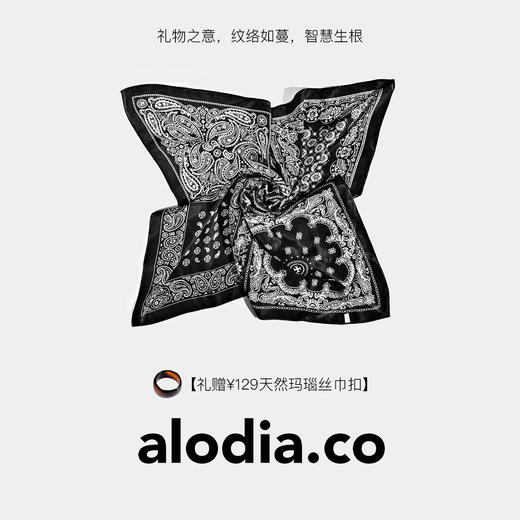 【G24005】alodia.co 桑蚕丝真丝羊毛丝巾方巾 法式复古老钱风高级感RJ136 商品图1