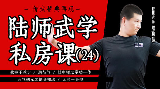 4.五气朝元之整身如球- 商品图0