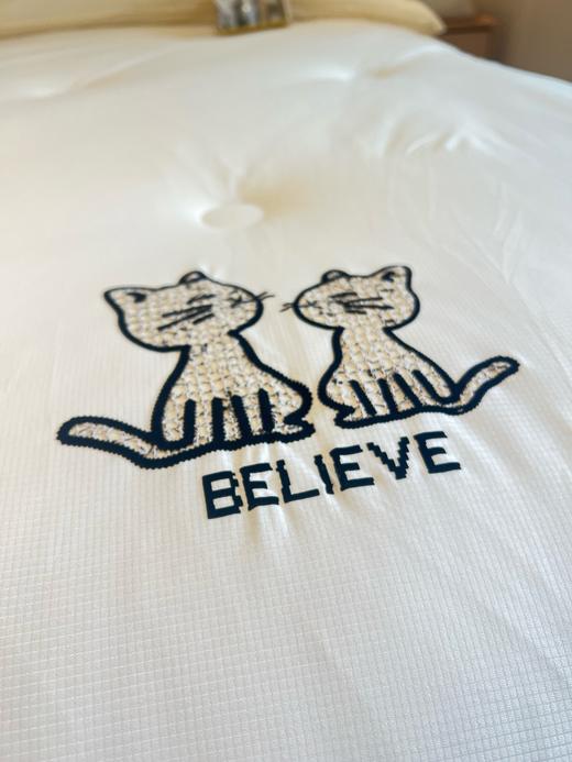 外贸6斤猫腹被 商品图5