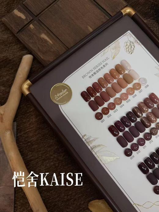 恺舍KAISE24色甄选棕 商品图1