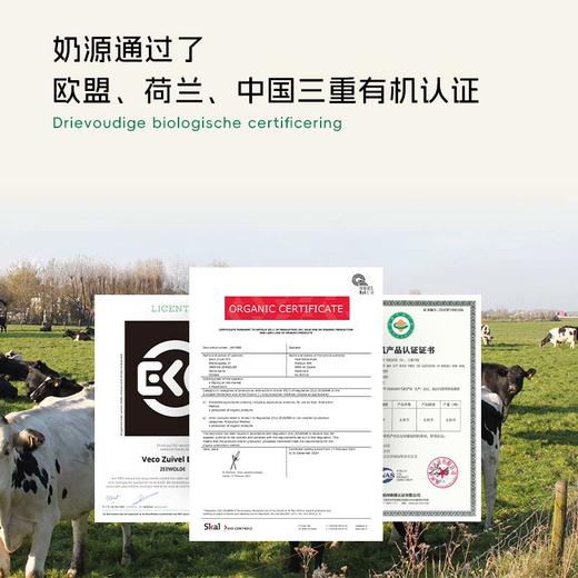 荷兰乐荷 有机奶酪碎 150g/150g*3 商品图4