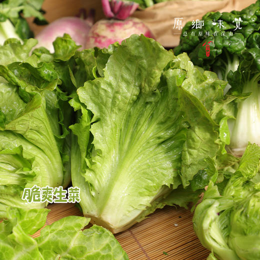 生态生菜（送2两小葱）【农场直发-顺丰包邮】| 2.5斤装，来自成都郫都区 商品图1