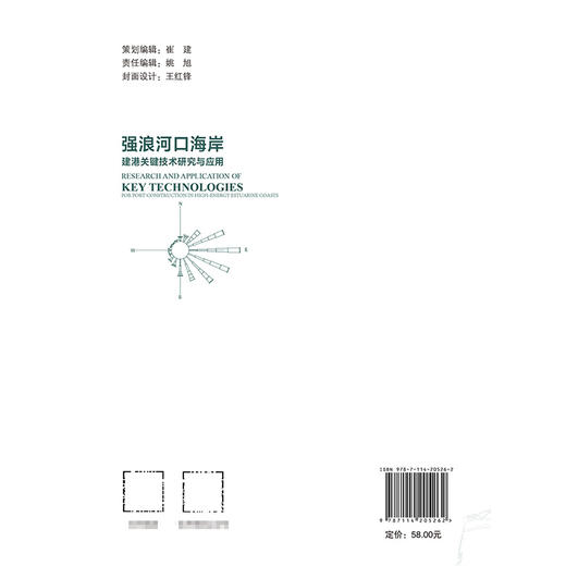 强浪河口海岸建港关键技术研究与应用 商品图1