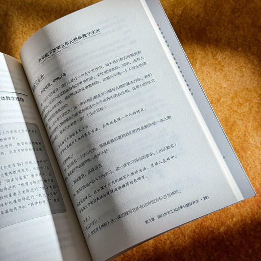 小学语文单元整体教学怎么做 大夏书系 语文之道 李怀源 商品图13