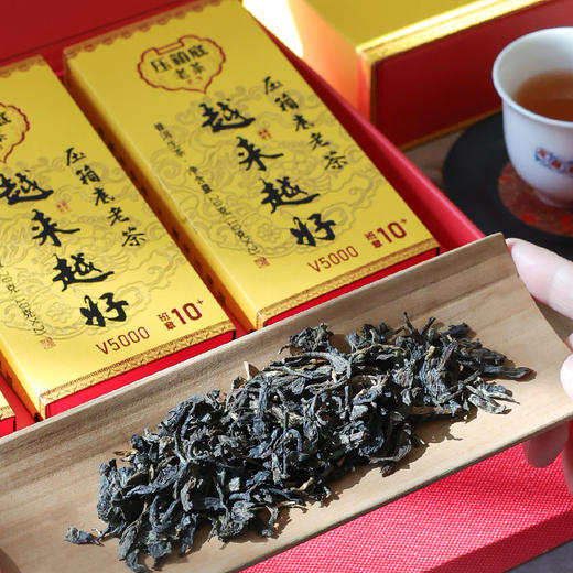 压箱底老茶 越来越好 10+ 班章普洱生茶 V5000 礼盒装 60克/6泡/盒 商品图4