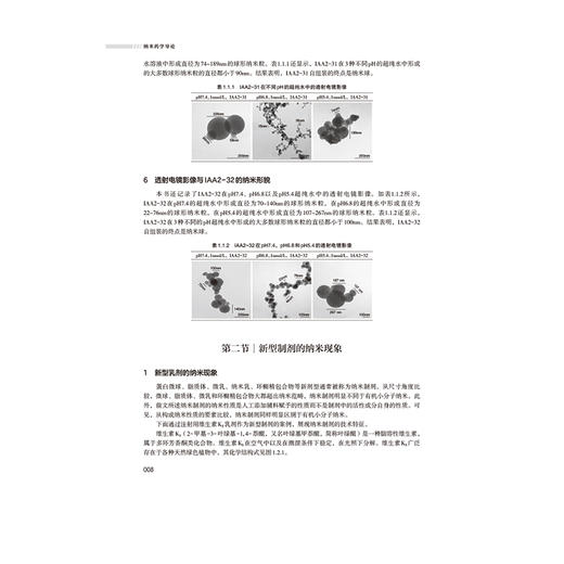 纳米药学导论 彭师奇 赵明 主编 本书适合药学、纳米科技及相关交叉领域研究者和学生参考使用 9787521452198 中国医药科技出版社 商品图4