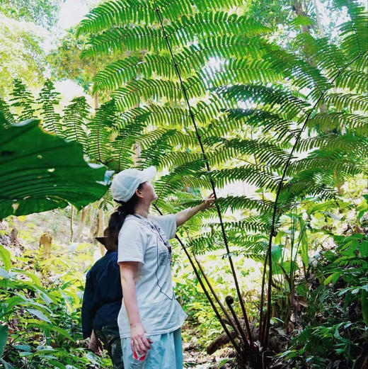 云南 | 秘境小普希热带雨林寻找寄生花，版纳雨林最新路线！季节限定《寻找寄生花》日营活动神秘来袭！还有高空秋千和溯溪徒步！ 商品图2
