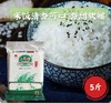 天津津门小站稻大米5斤2袋家庭装  商品缩略图0