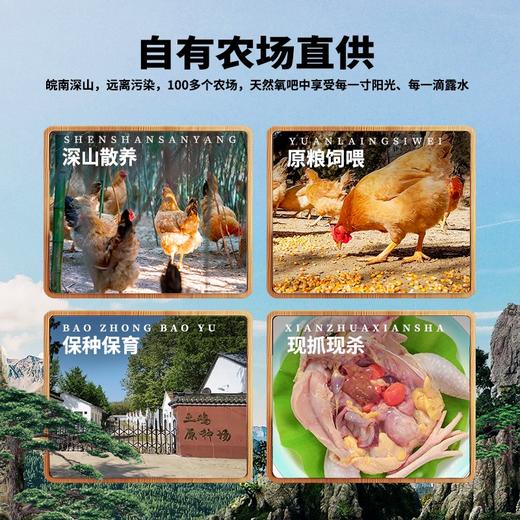 【发出后不支持拦截退货】杨博士 老母鸡 900g/900g*2 商品图4