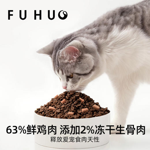 【主粮优惠】俘获C9猫粮鲜肉配方试吃装成幼猫冻干生骨宠物全价全期无谷猫粮 商品图1