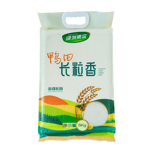 绿洲果实·鸭田长粒香 多规格可选 商品图0