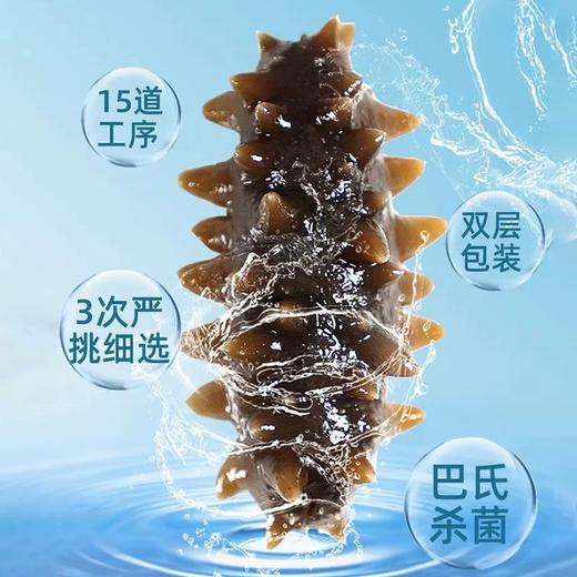 【大连老字号 口感爽脆软糯】晓芹即食海参正宗560g7头*2包大连海参辽刺参 15道专业工艺 营养不流失 商品图3