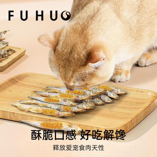 【爆款热卖】俘获满籽多春鱼冻干猫咪磨牙零食 商品图1