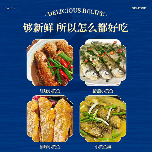 【舟山野生小黄鱼礼盒】黄金海域，纯正野生，液氮锁鲜，新年 “小金条”， 鲜礼首选！500克/袋，109元起 商品图7