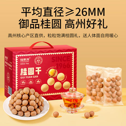 福东海 桂圆干礼盒1kg 零食干果过年货礼盒送长辈补品龙眼肉煲汤 商品图1
