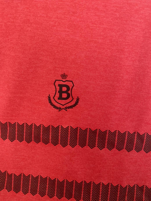 全新正品百乐图男士长袖S码秒杀价68元 商品图2