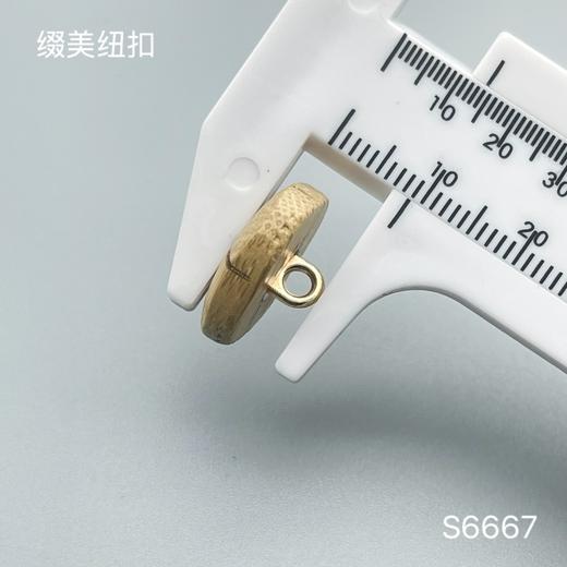 S6667(整包购买) 商品图5