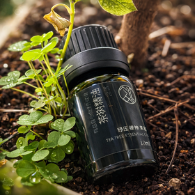 茶树精油