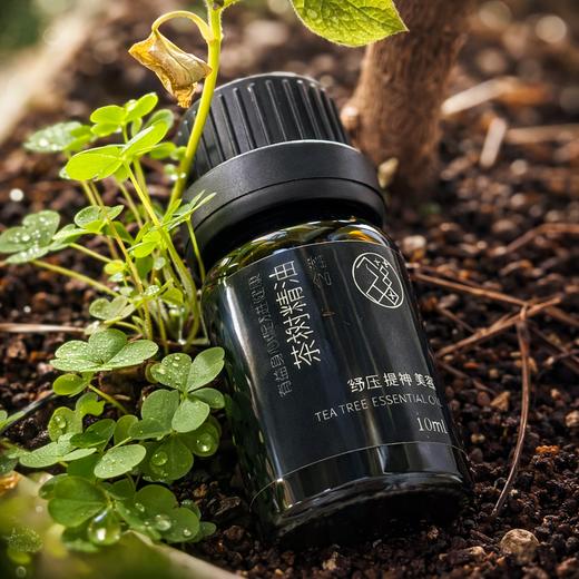 茶树精油 商品图0
