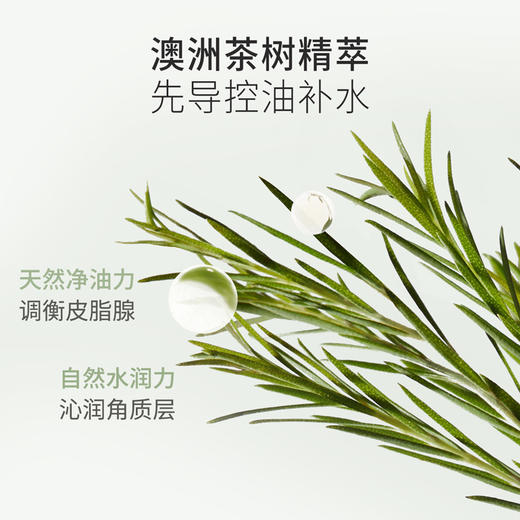 【控油精华】 油痘肌适用 清爽控油 调节水油平衡 细致毛孔 茶树控油水衡精华露（50ml） 商品图3
