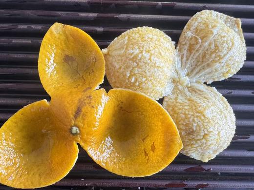 2025 东甲老树圈枝  冬后大红皮 果小皮薄特甜 500克起 商品图3