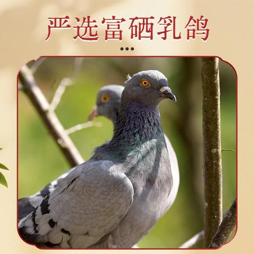 【发出后不支持拦截退货】杨博士 富硒烤乳鸽 220g*4（赠青梅酱*4） 商品图2
