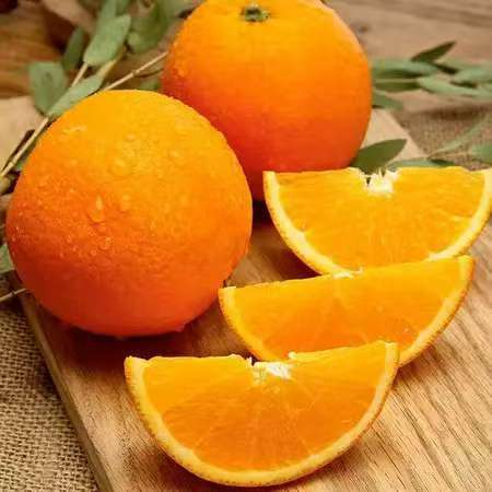 晴隆脐橙23元5斤农家自产贵州省著名商标甜而不腻酸而不涩 商品图1
