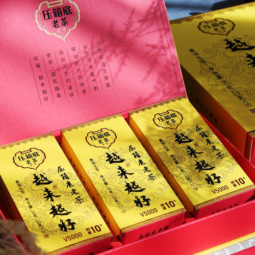 压箱底老茶 越来越好 10+ 班章普洱生茶 V5000 礼盒装 60克/6泡/盒 商品图2