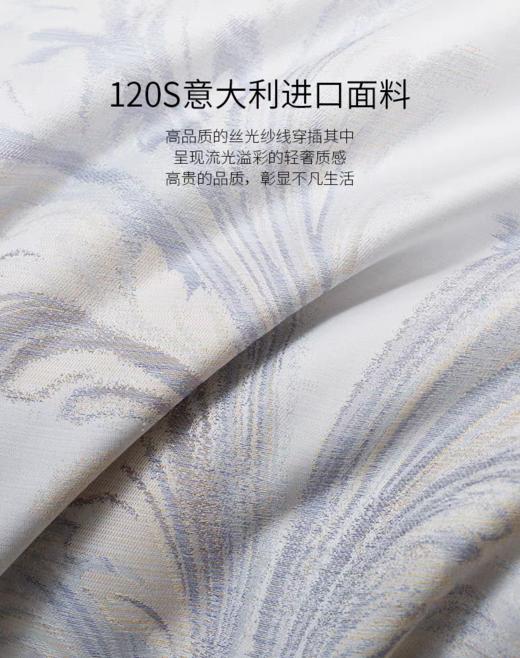 【床品专区】罗卡芙ROYALCOVER贝利西莫四件套810424022 商品图3