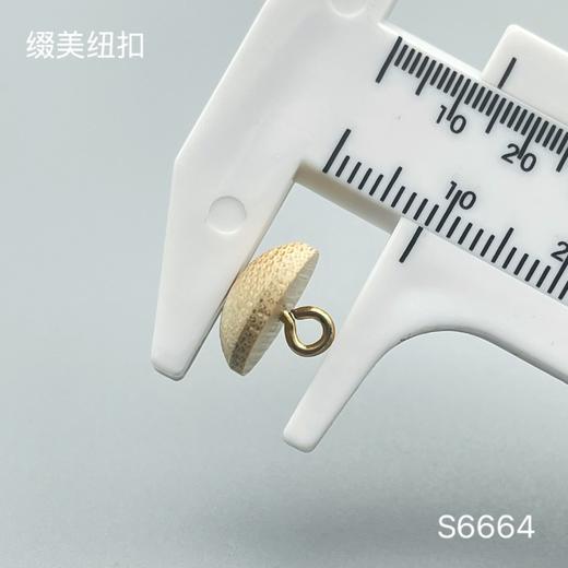 S6664(整包购买) 商品图3