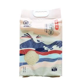 绿洲果实·元气王原粮稻花香2号 多规格可选 五常大米 晶莹剔透