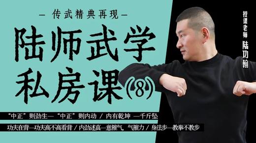 功夫在背——功夫高不高看背 商品图0