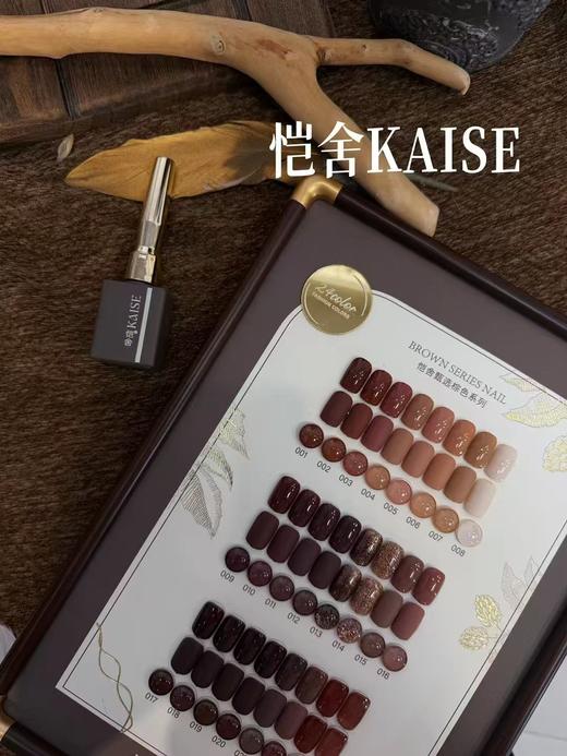 恺舍KAISE24色甄选棕 商品图3