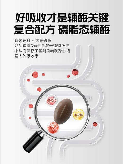 VIK辅酶Q10软胶囊 商品图2