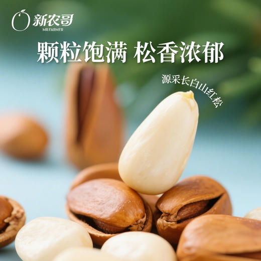 [唐老板专属]新农哥东北长白山红松500g罐装手剥红松子坚果休闲零食干果 商品图3