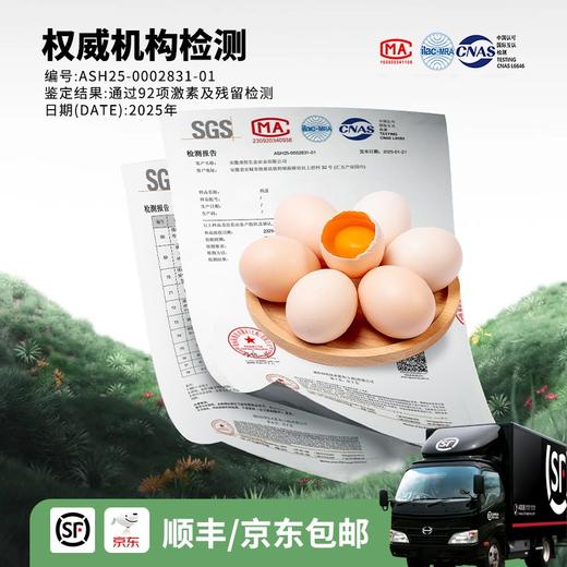 【发出后不支持拦截退货】杨博士 土鸡蛋 40-50g*60 商品图4