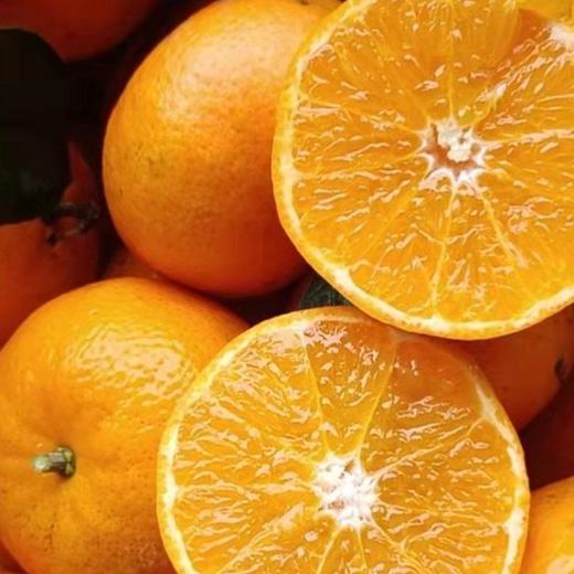 广西武鸣  无核沃柑  4.8-5斤中大果 商品图0