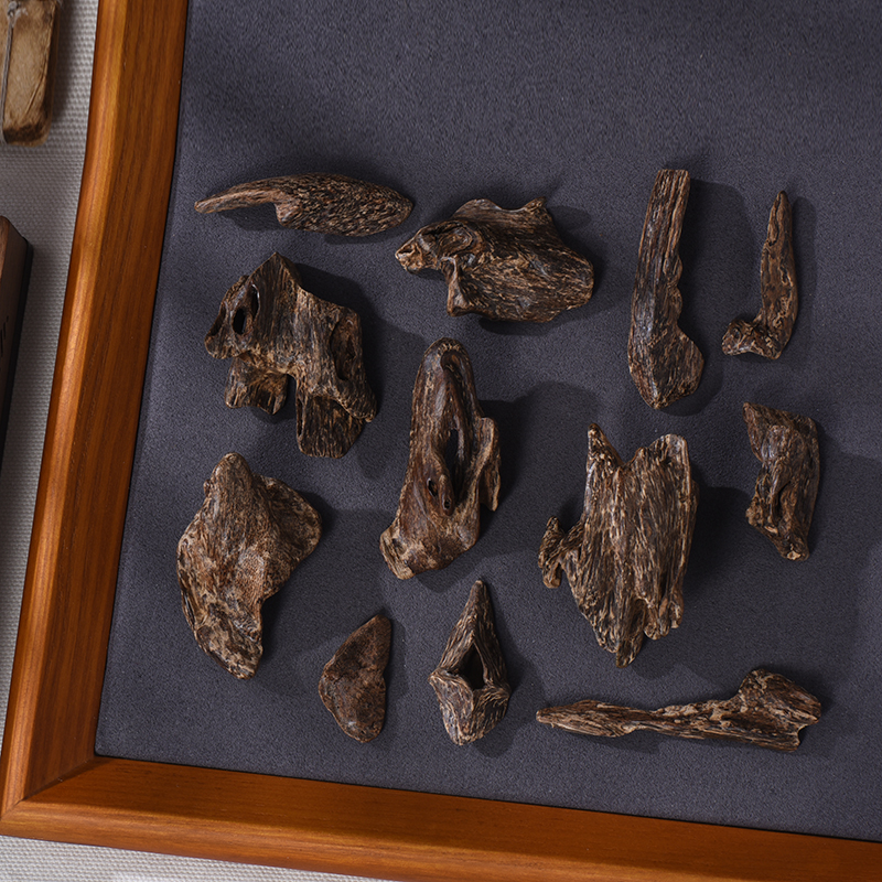 天然沉水，件件孤品 | 香韵浓郁穿透，标本级体验丨达拉干沉香熏材  SP6110