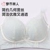 都市丽人内衣B杯薄文胸蕾丝内衣3/4杯内衣三排四扣无钢圈LBC2C9 商品缩略图5