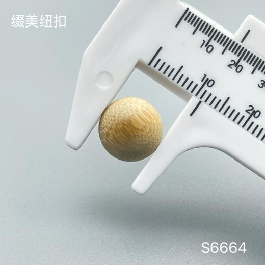 S6664(整包购买) 商品图2